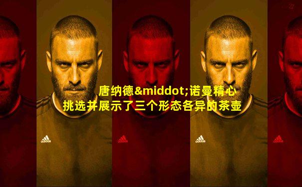 唐纳德·诺曼精心挑选并展示了三个形态各异的茶壶, 它